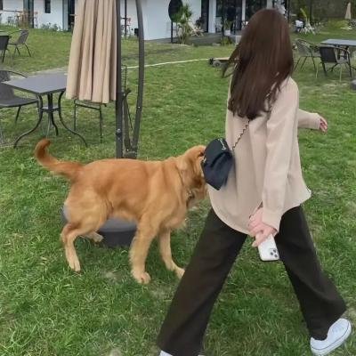 灵长类